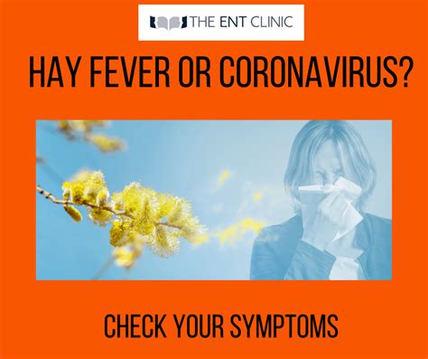are hay fever symptoms similar to covid 19